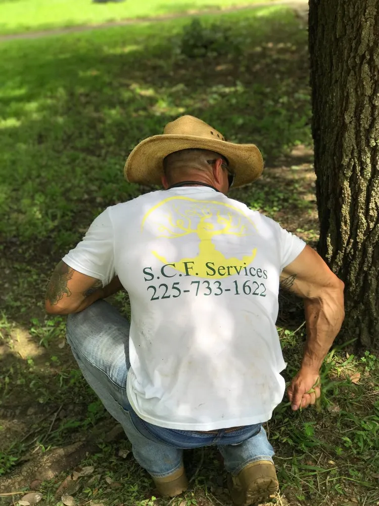 Top-rated lawn mowing service for outdoor upgrades across Denham Springs, LA - SCF Services