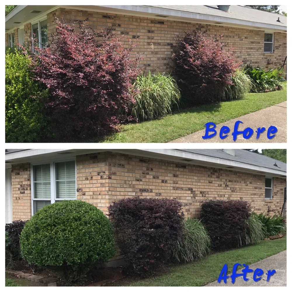 Expert yard maintenance for year-round maintenance in Denham Springs, LA by SCF Services