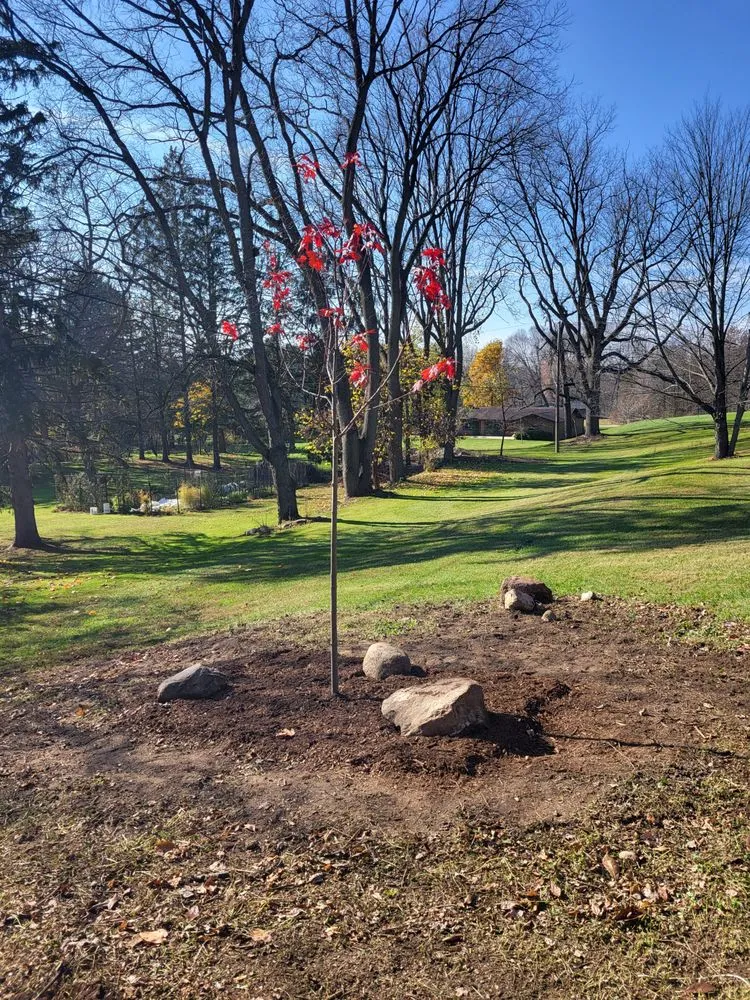 Trusted landscaping services for beautiful yards in Ann Arbor, MI by SCG Landscape Services