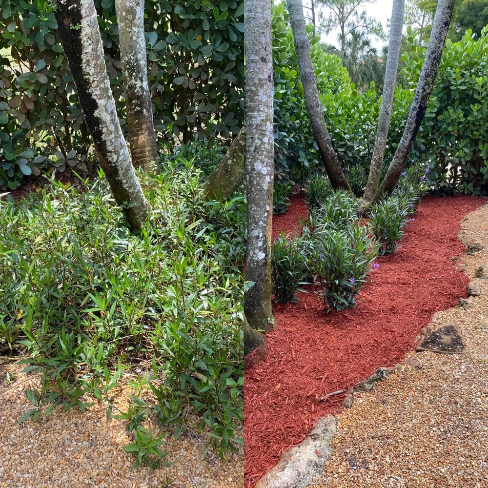 Professional outdoor landscaping for outdoor upgrades across Jupiter, FL - SCG Tree Trimming & Landscaping