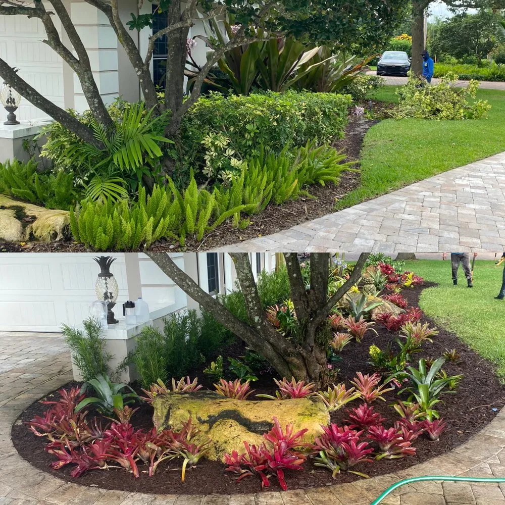 Professional yard maintenance in Jupiter, FL by SCG Tree Trimming & Landscaping