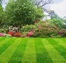 Expert yard cleanup service for residential properties in White Bear Lake, MN by SCH Property Services