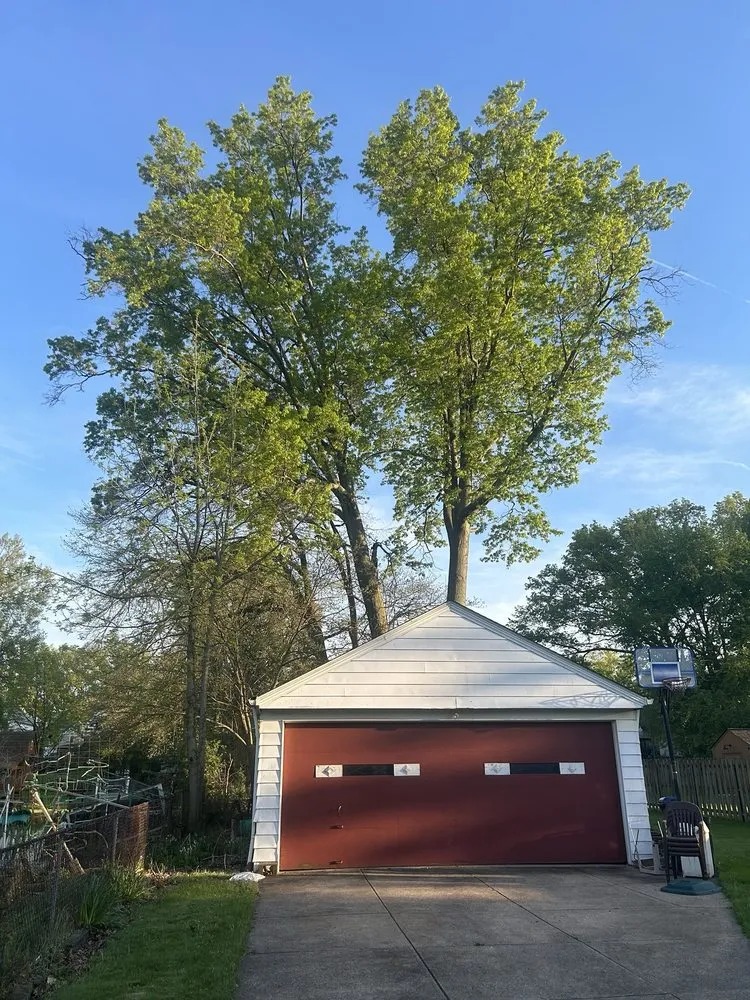 Local landscape design in North Royalton, OH by Schades Tree Service