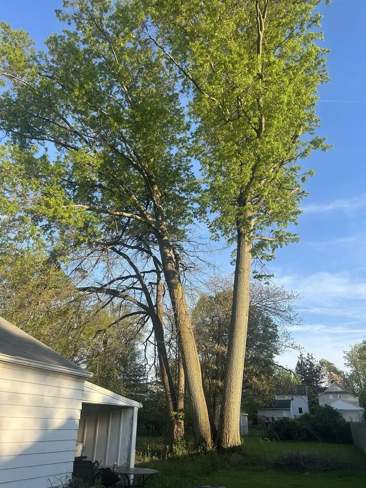 Top-rated landscaping services for homes across North Royalton, OH - Schades Tree Service