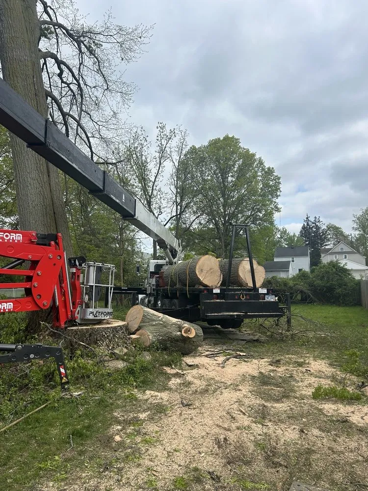 Local landscape design in North Royalton, OH - Schades Tree Service