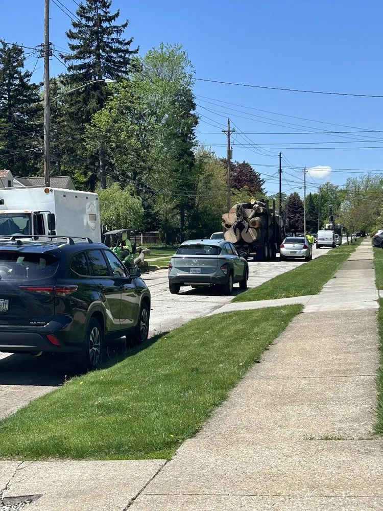 Top-rated landscaping services with custom design across North Royalton, OH - Schades Tree Service