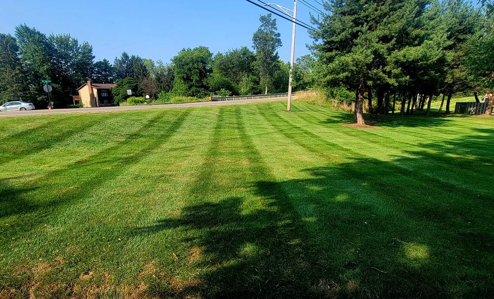 Affordable lawn care service in Grand Ledge, MI by Schaefer Farms