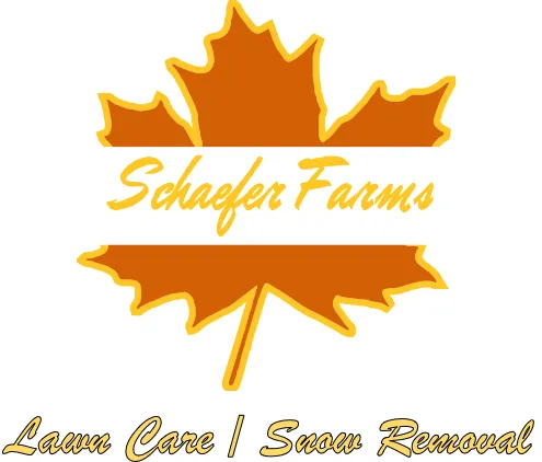 Reliable yard cleanup service for beautiful yards across Grand Ledge, MI - Schaefer Farms