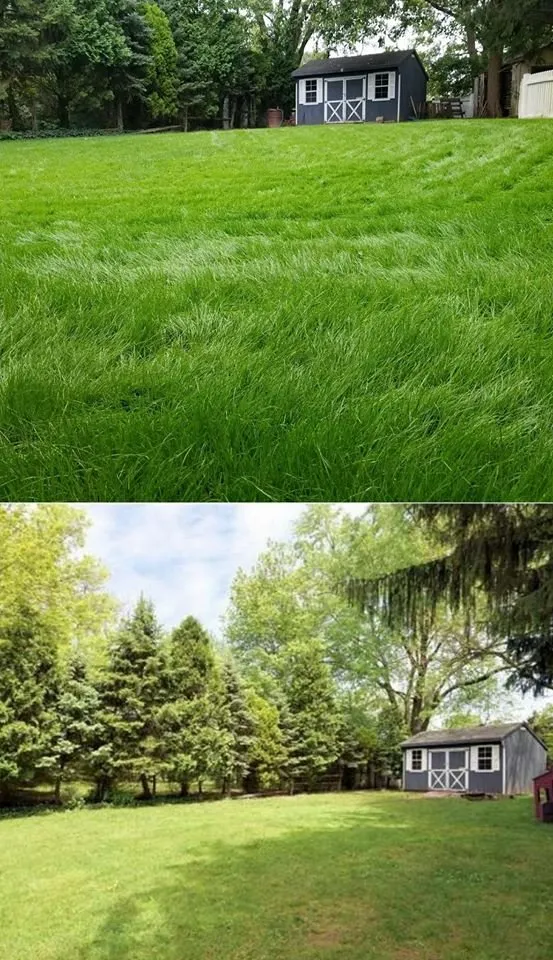 Trusted residential landscaping experts serving Perkasie, PA - Schaefer Iawn Care and Property Maintenance