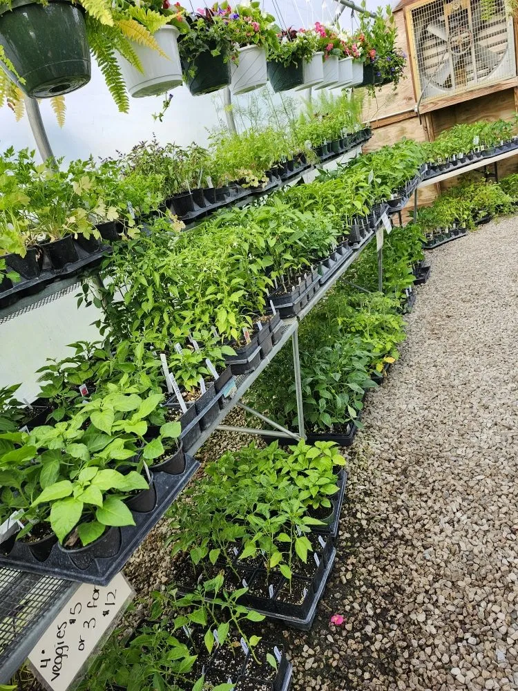 Top-rated yard maintenance with custom design across Avilla, IN - Schaller Greenhouse And Landscape