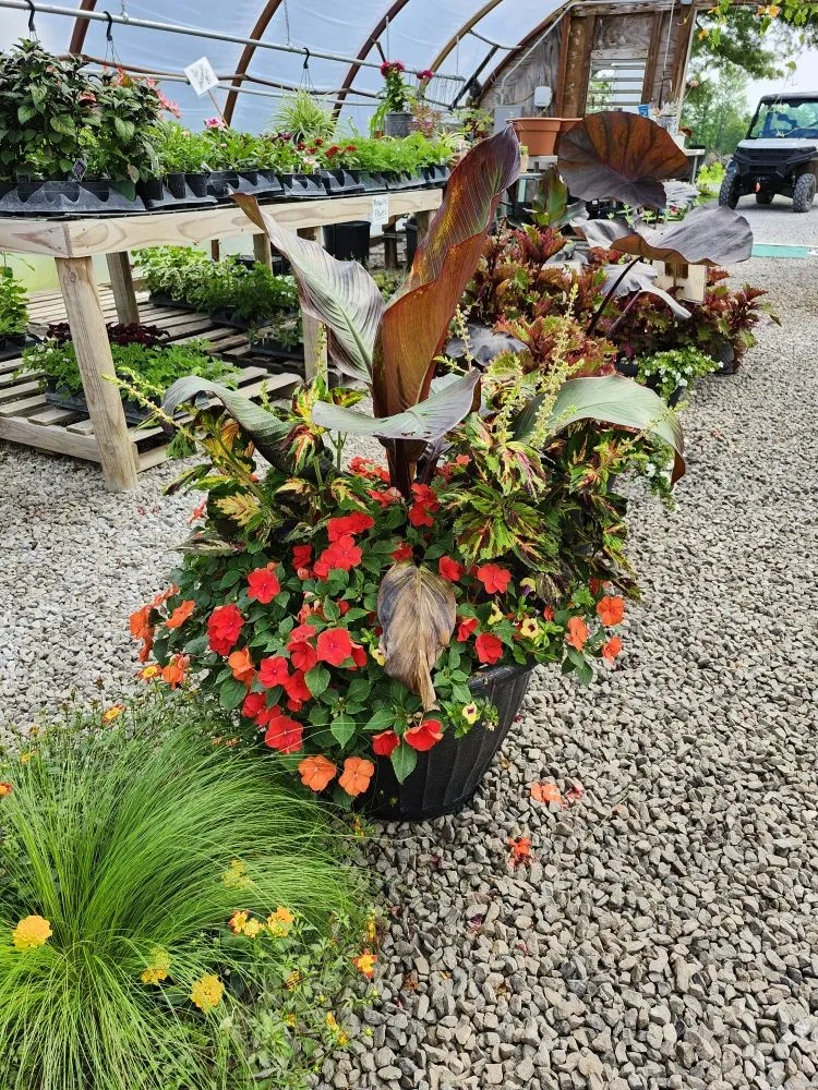 Professional landscape design for beautiful yards in Avilla, IN by Schaller Greenhouse And Landscape