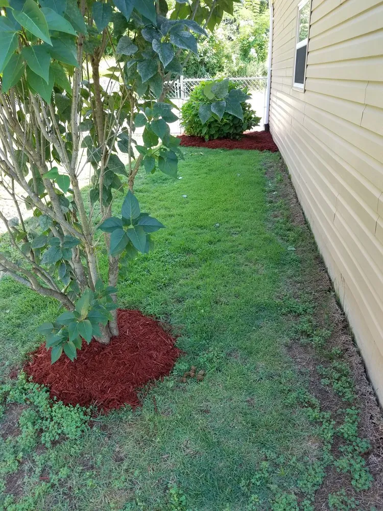 Expert garden landscaping for year-round maintenance across Herculaneum, MO - Schaper Contracting