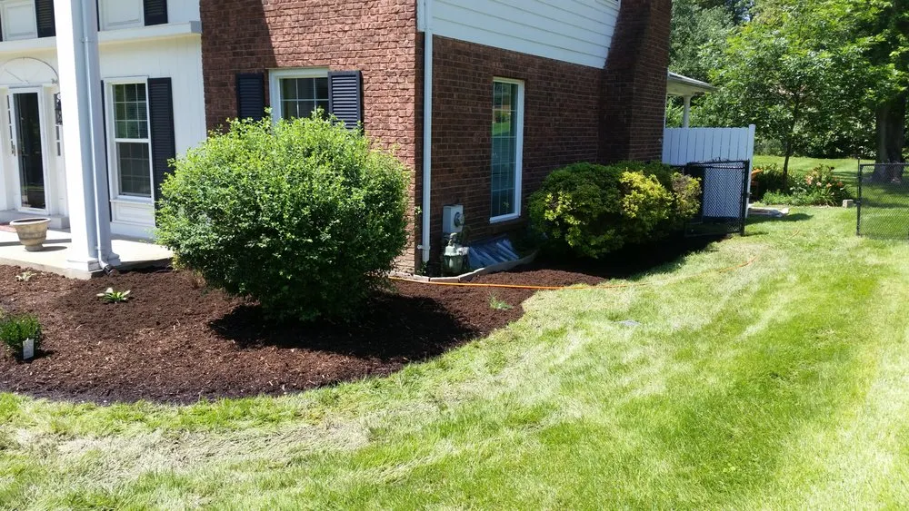 Trusted yard cleanup service in Herculaneum, MO - Schaper Contracting