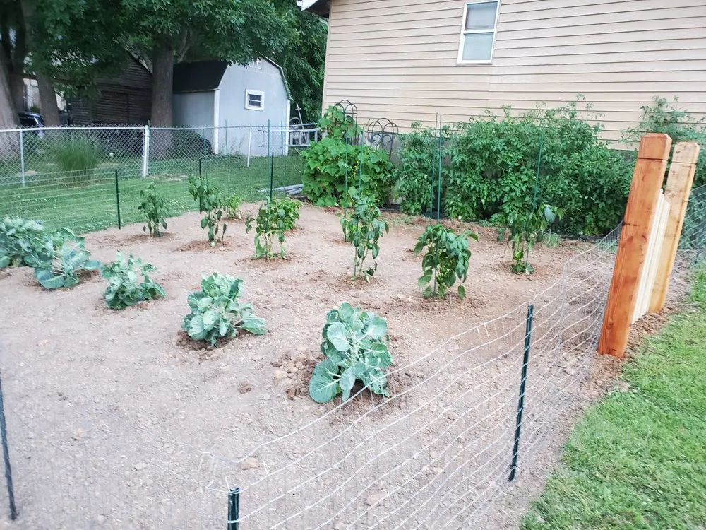 Reliable yard maintenance experts serving Herculaneum, MO - Schaper Contracting