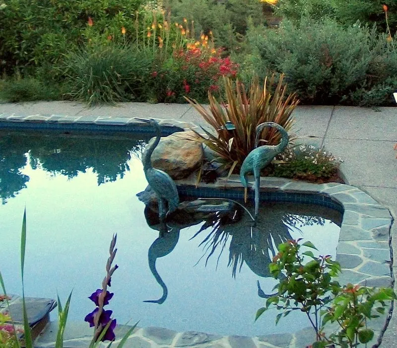 Professional landscaping services for year-round maintenance in Walnut Creek, CA by Scharmer Sprinklers & Landscape