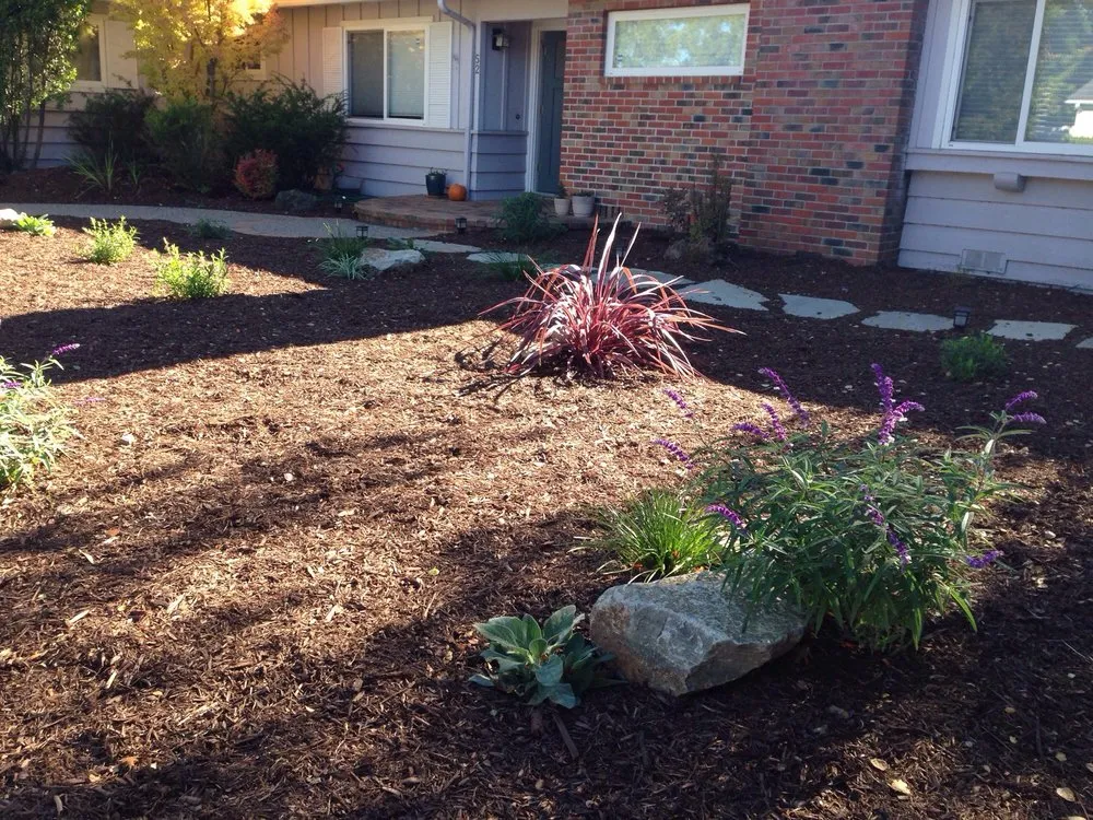 Reliable landscaping services near you in Walnut Creek, CA by Scharmer Sprinklers & Landscape