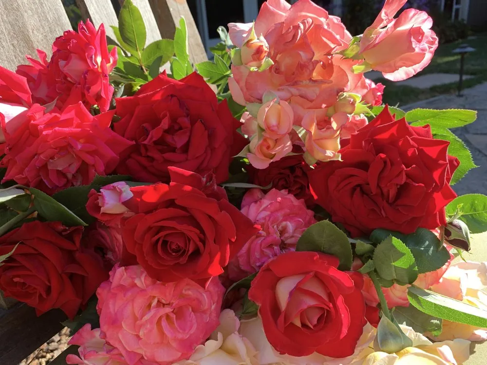 Expert garden landscaping in Walnut Creek, CA by Scharmer Sprinklers & Landscape