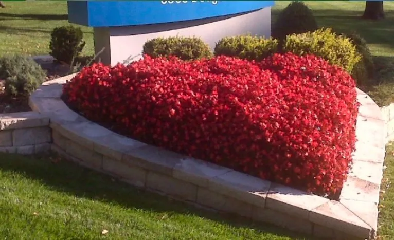 Professional landscape design experts serving Springfield, NE - ScharpScapes