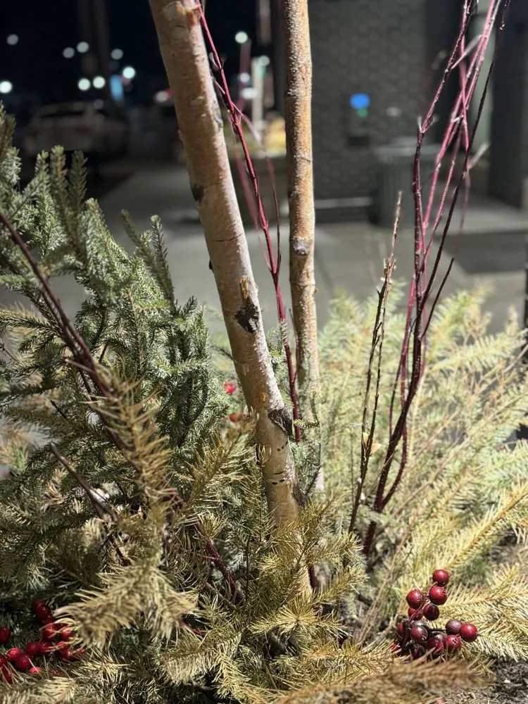 Expert landscape design experts serving Springfield, NE - ScharpScapes