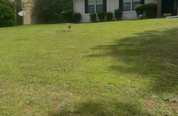 Schaub & Sons Lawn Care