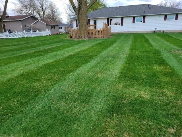 Trusted landscaping services in Fairbank, IA by Scheel's Professional Lawn Care
