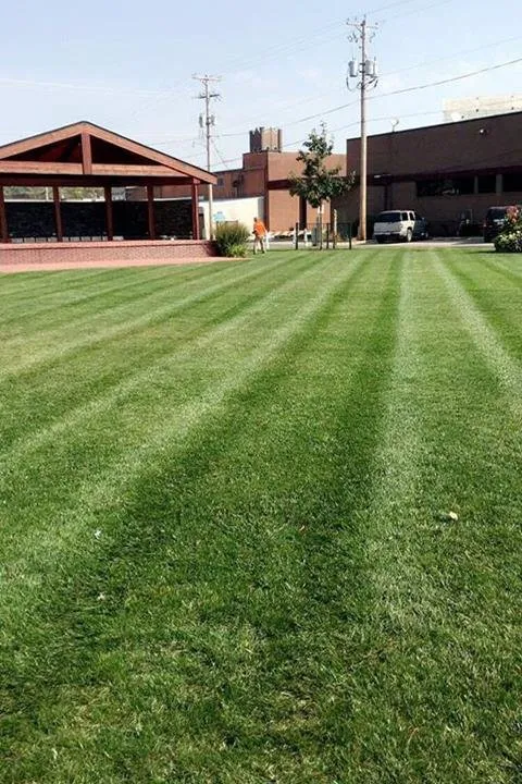 Trusted yard cleanup service in Fairbank, IA - Scheel's Professional Lawn Care