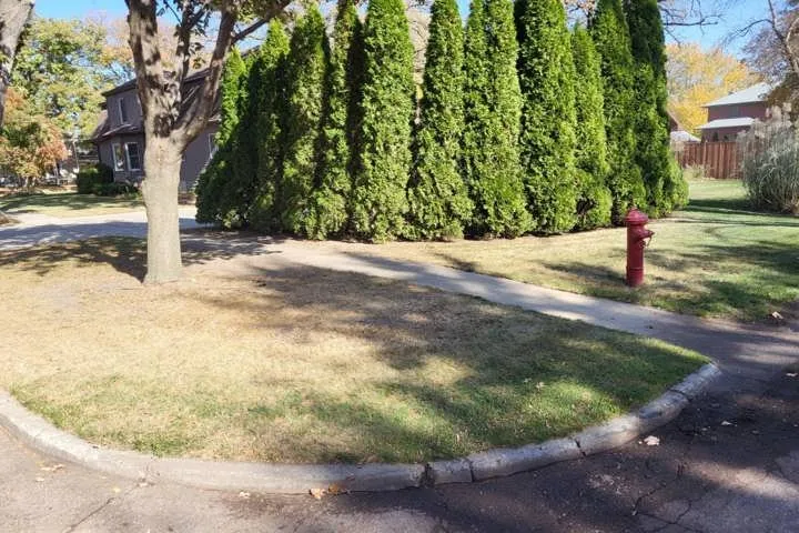 Expert landscape installation for beautiful yards in Fairbank, IA by Scheel's Professional Lawn Care