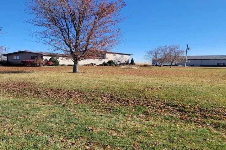 Custom lawn care service experts serving Fairbank, IA - Scheel's Professional Lawn Care