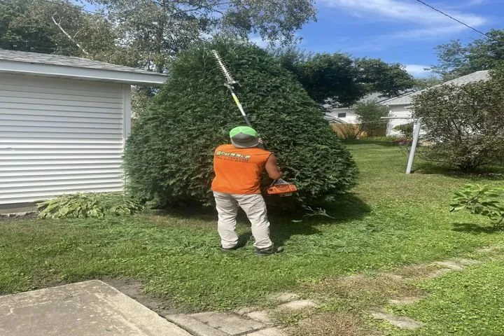 Expert landscape installation for residential properties in Fairbank, IA by Scheel's Professional Lawn Care