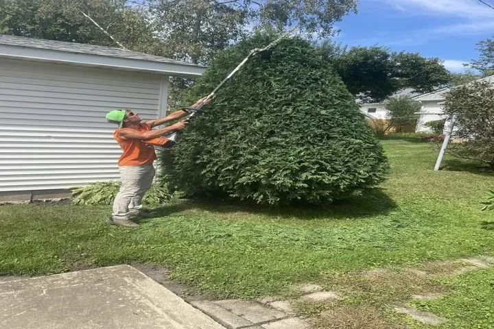 Top-rated lawn care service for year-round maintenance across Fairbank, IA - Scheel's Professional Lawn Care