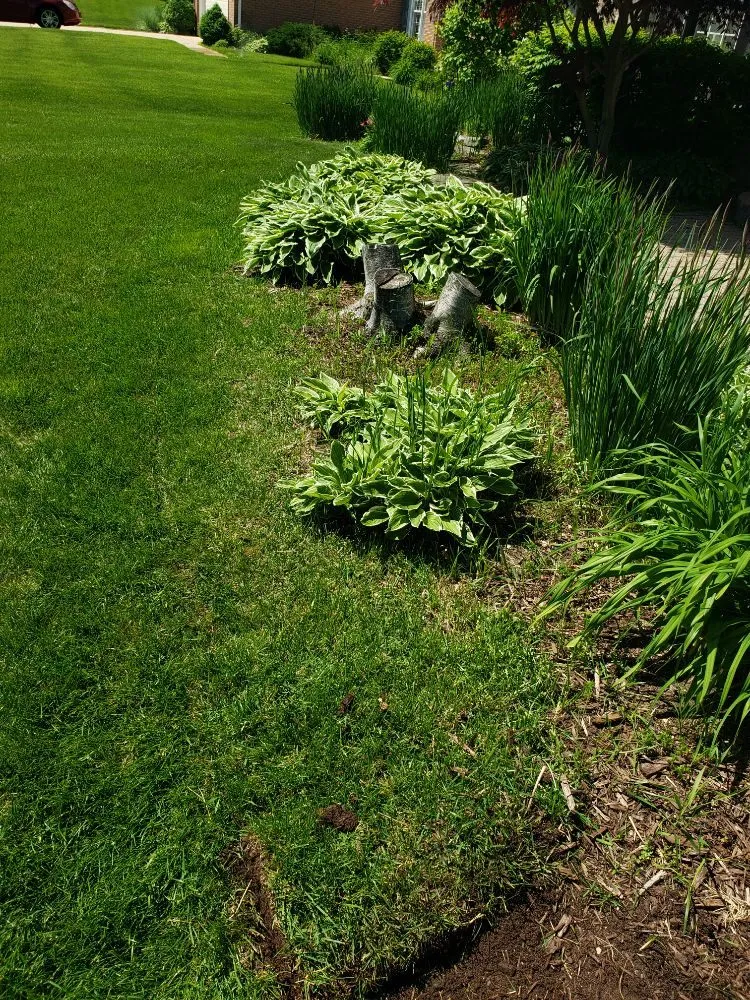 Local residential landscaping in Orion charter Township, MI by Scheerah's Landscaping