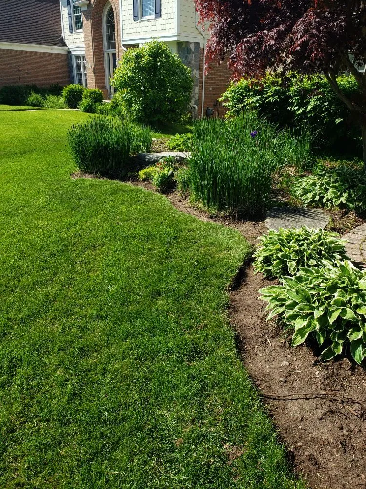 Trusted yard cleanup service experts serving Orion charter Township, MI - Scheerah's Landscaping