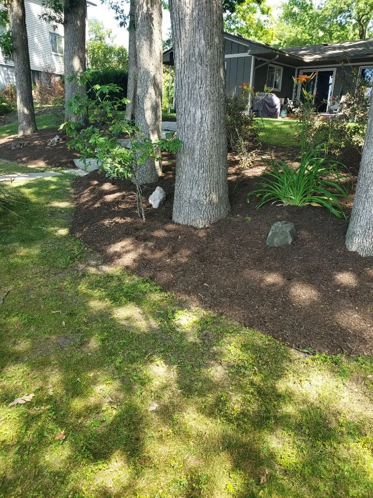 Trusted yard maintenance for homes in Orion charter Township, MI by Scheerah's Landscaping