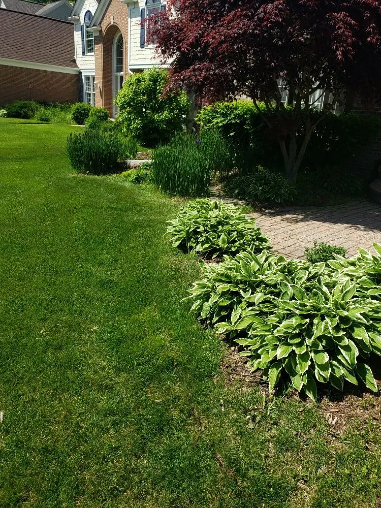 Affordable landscaping services in Orion charter Township, MI by Scheerah's Landscaping