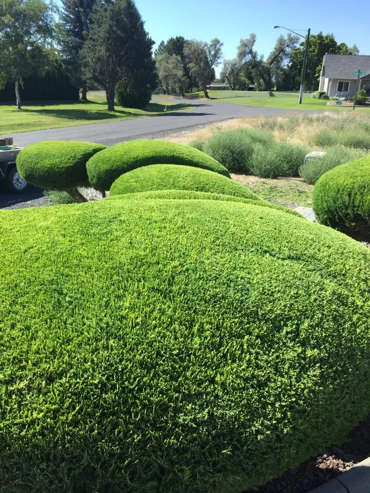 Local yard maintenance for year-round maintenance across Ephrata, WA - Scheib's Lawn Care and Services