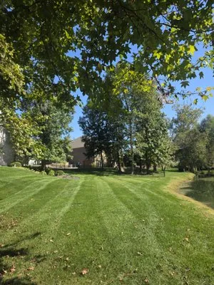 Scheller's Unlimited Lawncare