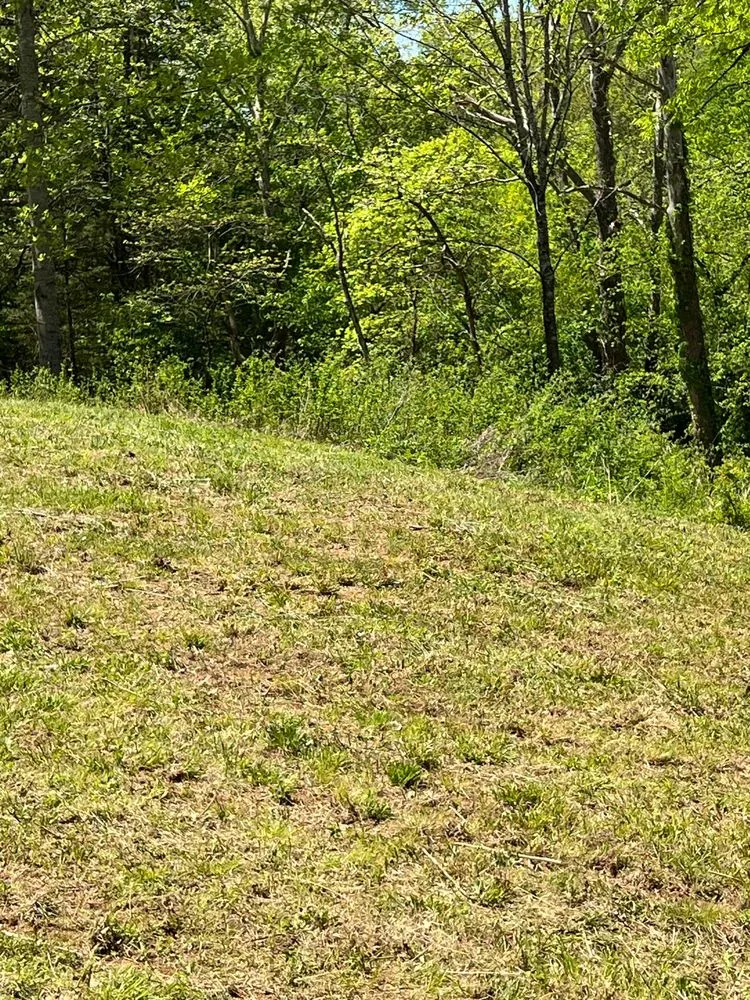 Affordable outdoor landscaping in Spring Hill, TN - Schemey's Got a Tractor