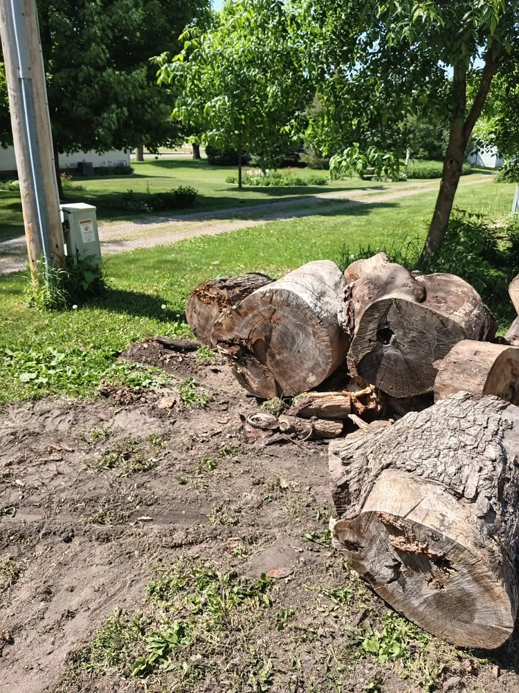 Local landscaping services in Buffalo Center, IA by Schendel Grass Service