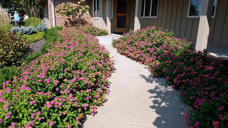 Professional lawn mowing service near you across Lawrence, KS - Schendel Lawn & Landscape