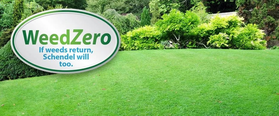 Custom yard cleanup service in Lawrence, KS by Schendel Lawn & Landscape