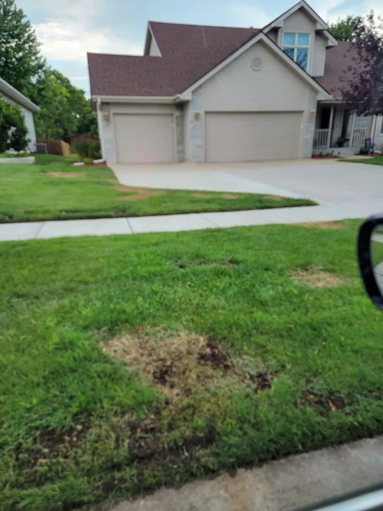 Expert yard cleanup service in Topeka, KS by Schendel Lawn & Landscape