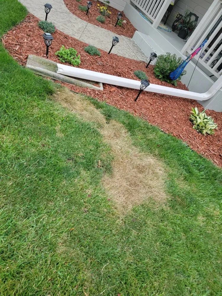 Custom yard maintenance experts serving Topeka, KS - Schendel Lawn & Landscape