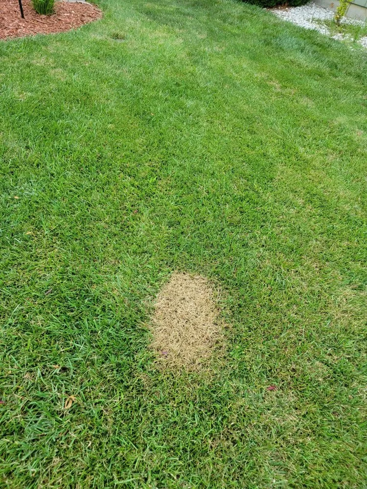 Affordable landscape installation for residential properties in Topeka, KS by Schendel Lawn & Landscape