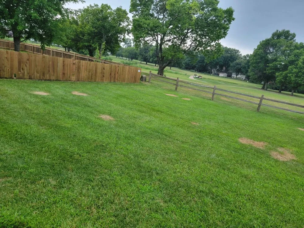 Affordable yard cleanup service in Topeka, KS - Schendel Lawn & Landscape