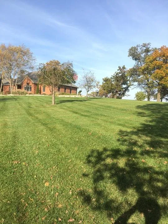 Custom landscaping services for year-round maintenance across Knox, IN - Scherf's Lawn Service