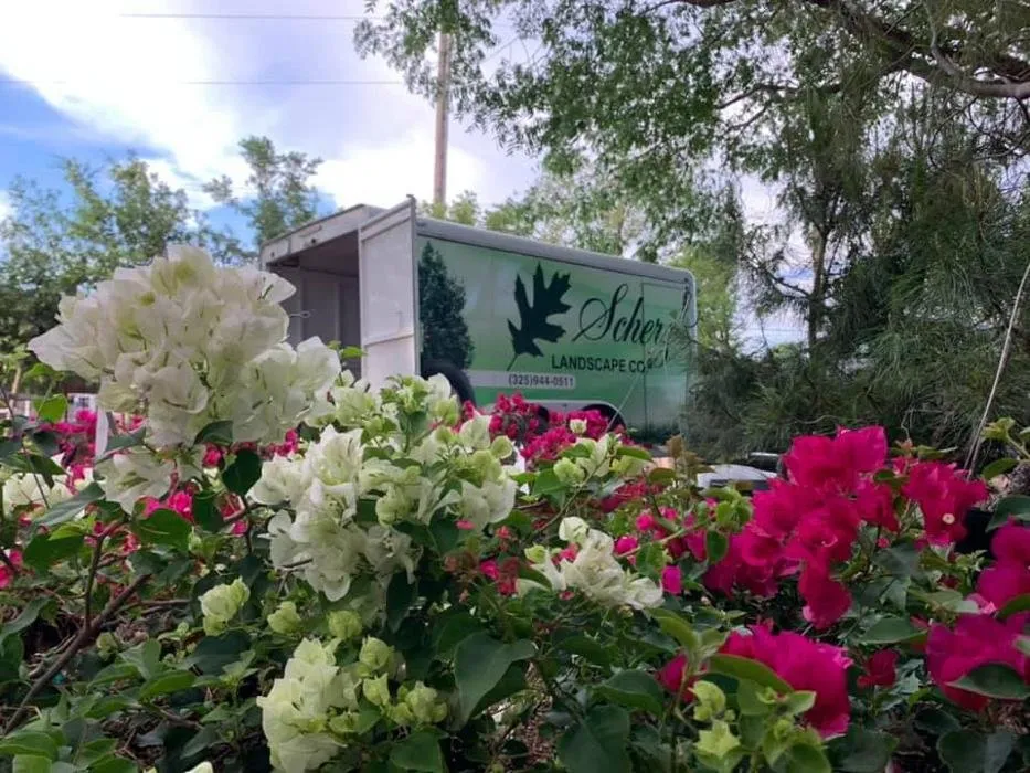 Trusted landscaping services for beautiful yards in San Angelo, TX by Scherz Landscape