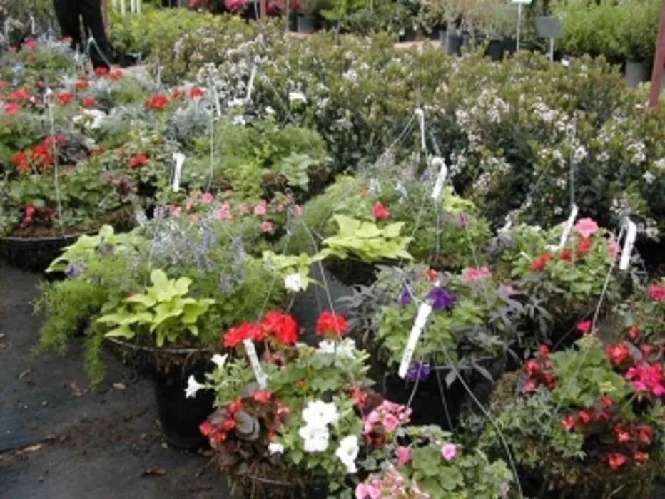 Expert landscape installation for year-round maintenance across San Angelo, TX - Scherz Landscape