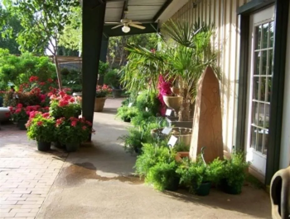 Expert lawn care service experts serving San Angelo, TX - Scherz Landscape