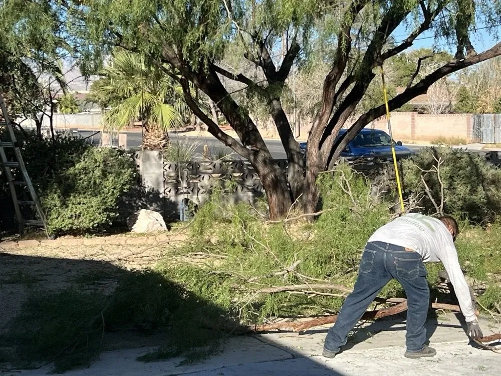 Expert landscape installation for beautiful yards in Las Vegas, NV by Schilling Horticulture Group