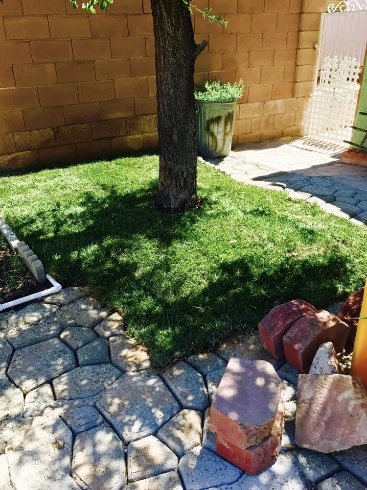 Expert landscape design for year-round maintenance in Las Vegas, NV by Schilling Horticulture Group